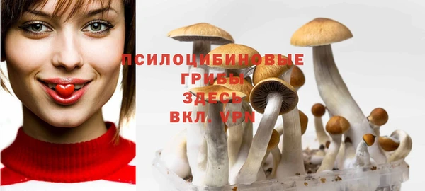 герыч Бородино